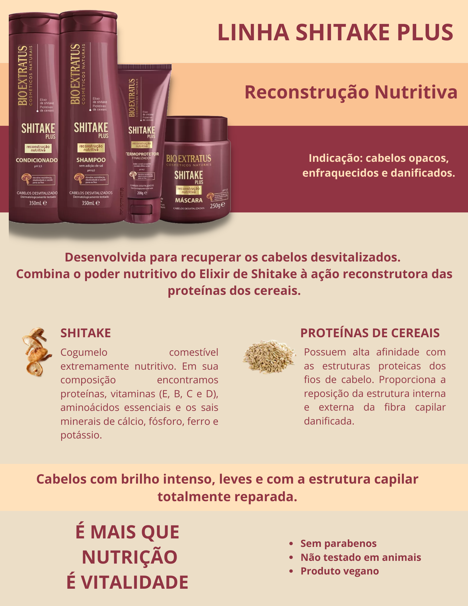 Produto - Shampoo SHITAKE PLUS BIO EXTRATUS 350ml - Condicionador SHITAKE PLUS BIO EXTRATUS 350ml - Máscara SHITAKE PLUS BIO EXTRATUS 250g - Finalizador termoprotetor SHITAKE PLUS BIO EXTRATUS 200g