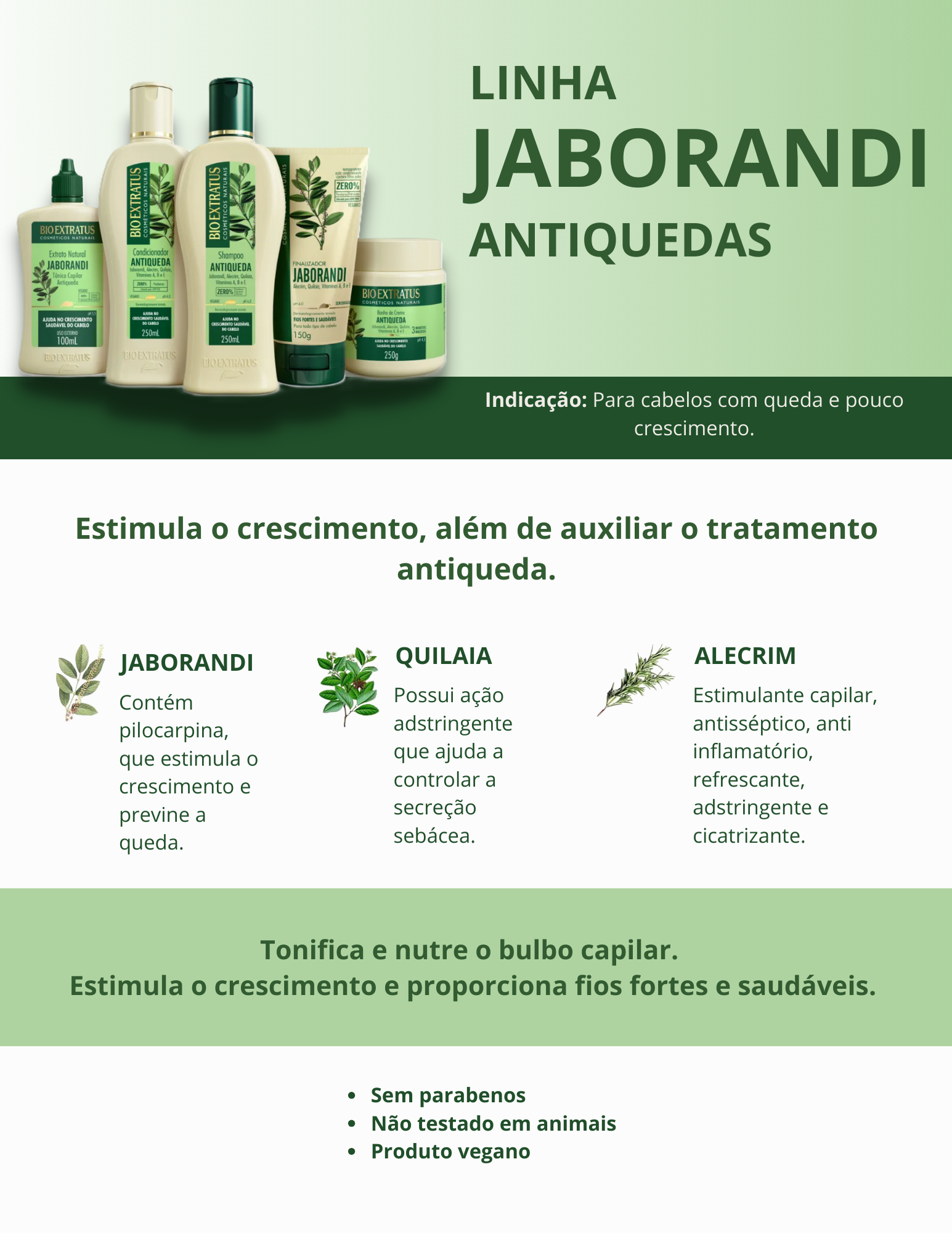 Produto - Shampoo JABORANDI ANTIQUEDA BIO EXTRATUS 250ml - Condicionador JABORANDI ANTIQUEDA BIO EXTRATUS 250ml - Banho de creme JABORANDI ANTIQUEDA BIO EXTRATUS 250g - Finalizador JABORANDI ANTIQUEDA BIO EXTRATUS 150g - Extrato JABORANDI ANTIQUEDA BIO EXTRATUS 100ml